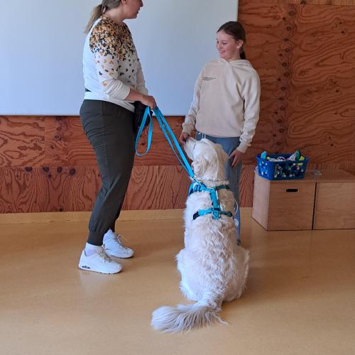 Hundeworkshop_13