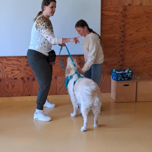 Hundeworkshop_14