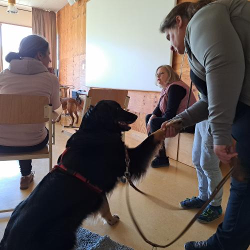 Hundeworkshop_15
