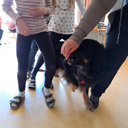 Hundeworkshop_19