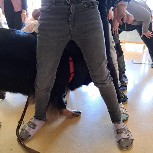 Hundeworkshop_20