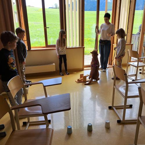 Hundeworkshop_23