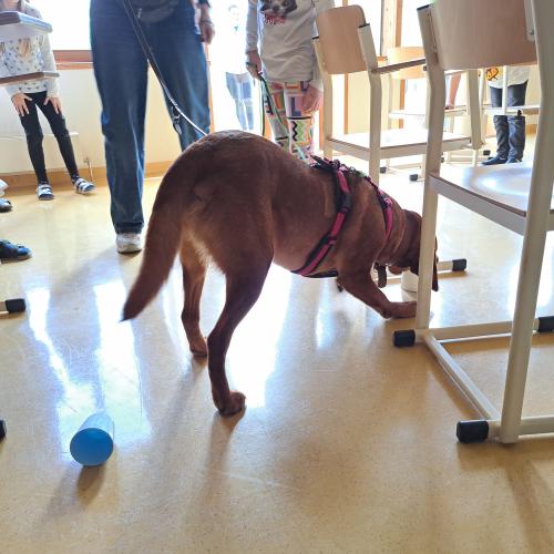 Hundeworkshop_24
