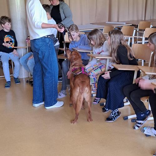 Hundeworkshop_26