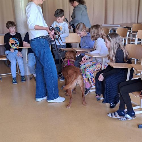 Hundeworkshop_27