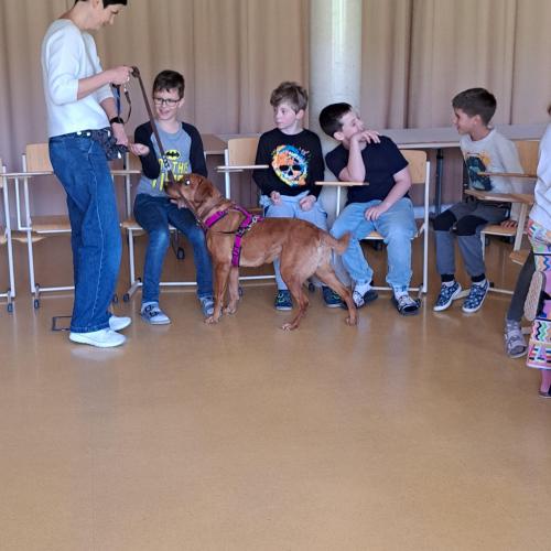 Hundeworkshop_28