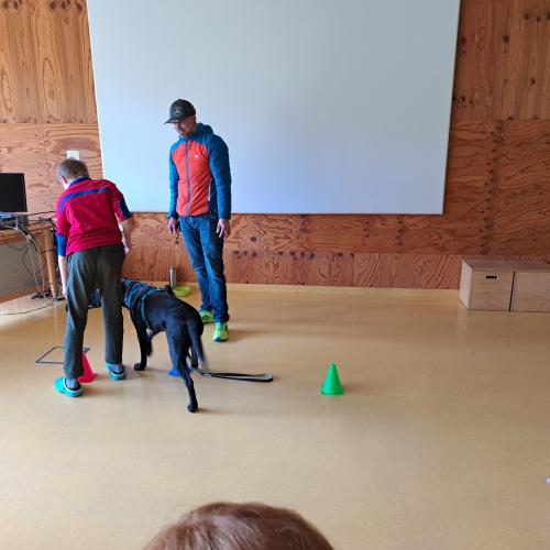 Hundeworkshop_3
