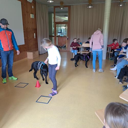 Hundeworkshop_4