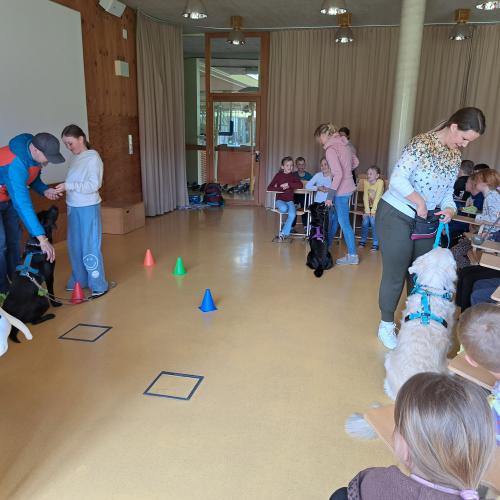 Hundeworkshop_6