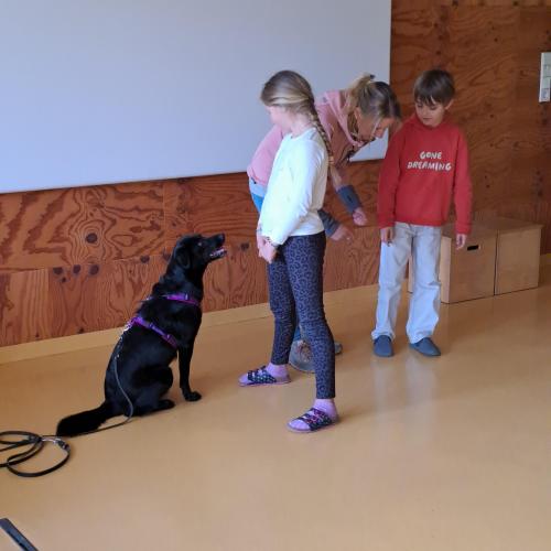 Hundeworkshop_7