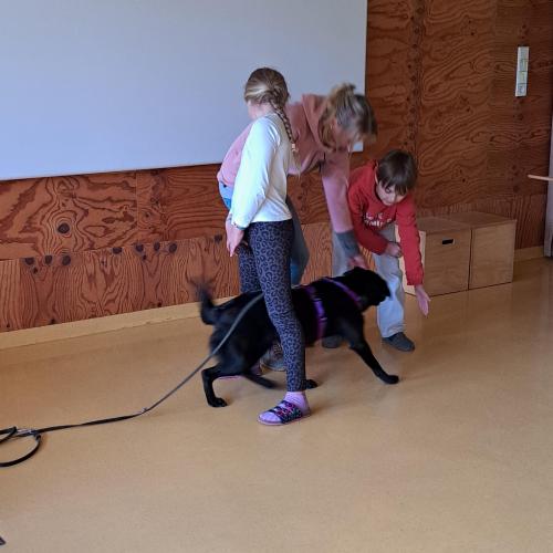 Hundeworkshop_8