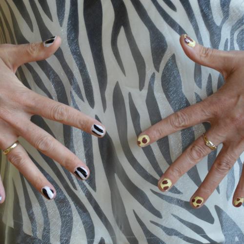 Zebrafingernägel