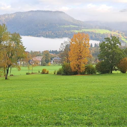 wandertag_4ab_2.jpg