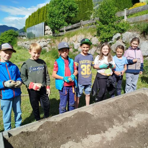 Kinder beim Kartoffelsetzen