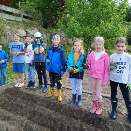 Kinder beim Kartoffelsetzen 2a