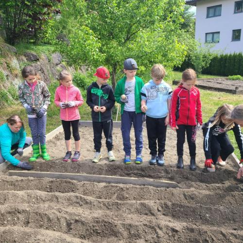 Kinder beim Kartoffelsetzen