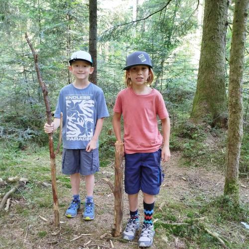 Kinder im Wald 