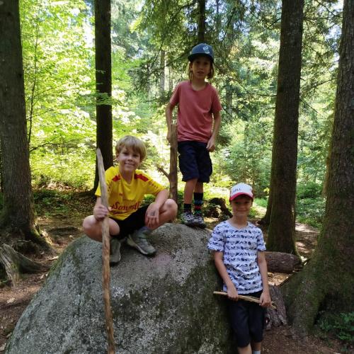 Kinder im Wald 