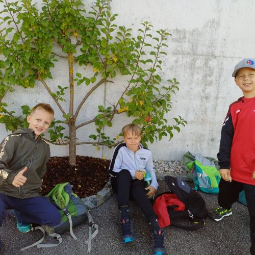 Wandertag 3ab