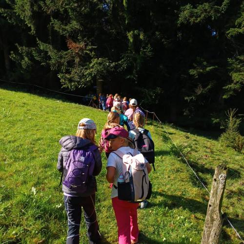 Wandertag 3ab
