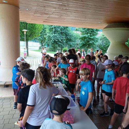 Sporttag_2026