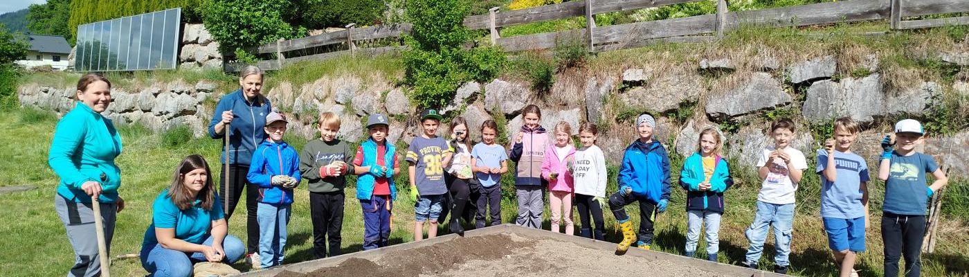 Schulkinder beim Kartoffelfeld